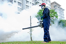 Pest Control Services Provider in Delhi NCR, India